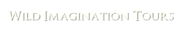 Wild Imagination Tours
