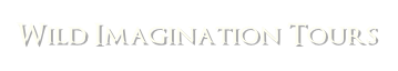 Wild Imagination Tours